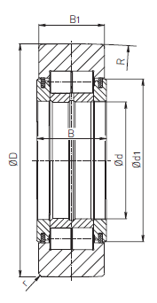 SLB 56-8-1